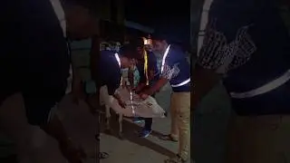गौ माता को सड़क दुर्घटना से बचाने के लिए 50 Radium Belt  बांधे गए❤️🥰🙏🏻#trending #respect #ytshorts
