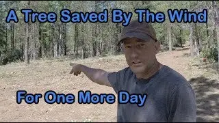 More clean up on the property than I ever imagined