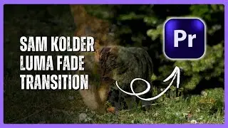 Сэм Колдер: Учебное пособие по переходу Luma Fade в Premiere Pro