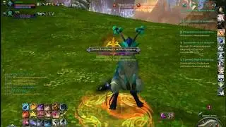 сюсюка aion 5.6 ranger pvp