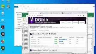 Drug Gene Interaction database
