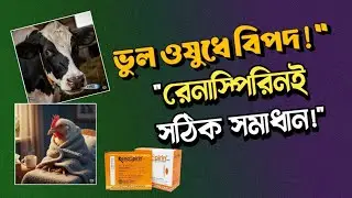 রেনাস্পিরিন ভেট | পশুর জ্বর, ইনফ্লেমেশন ও হিট স্ট্রেসের সেরা সমাধান #জ্বর #খামার #ঔষধ