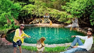 Garmi Mein Pyaashe Janwaron ke Liye Jungle Mein Pani vlogNature Kindnesschallenge WaterForAnimals