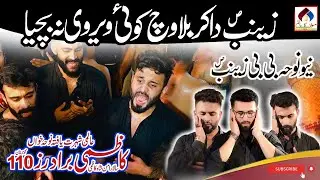 Kazmi Brothers 110 New Noha | Zainab Da Karbala Wich | Noha Bibi Zainab S.A | New Noha 2022