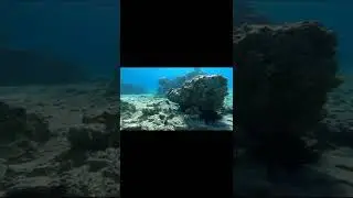 KIZILDENİZ BATIK TANK DALİŞ.Dunyanin en g&uuml;zel yer altı dalış rotası.
