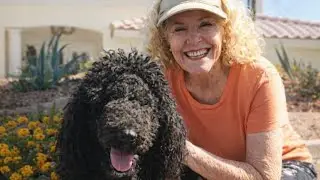 This dog layed on her stomach and took her cancer away!