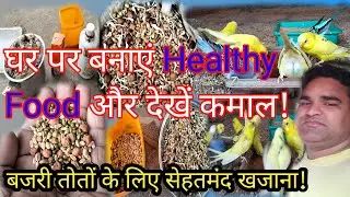 Best Soft Food for Budgies 2026| घर पर बनाएं Healthy Food और देखें कमाल! 🦜