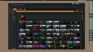 NexusMod wizard fails