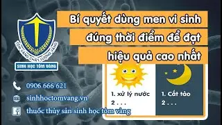 Bí quyết dùng men vi sinh để hiệu quả cao nhất | SINH HỌC TÔM VÀNG official