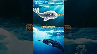 🐧 Песня о морских животных для детей 🌊 Звуки пингвинов, моржей, тупиков и нарвалов | Изучайте мор...