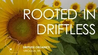 Driftless Organics & Rooted Spoon - Preview