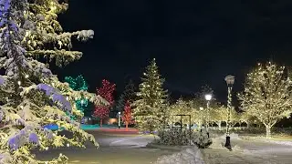 Visiting Denver Colorado 