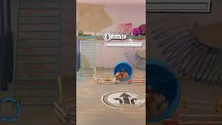 【ハムスタープレイグラウンド】