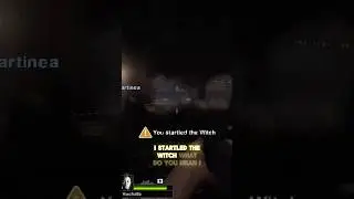 POV: You Startled The Witch in Left 4 Dead 2