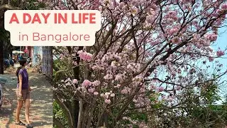 a day in bangalore: breakfast 🥐, pink blooms 🌸 & exploring jayanagar 🚶‍♀️