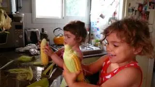 הגעתי לתירס