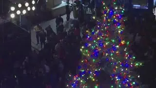 Lights! Camera! Santa! Portland holiday tree sparkles