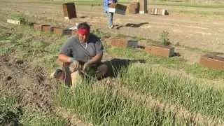 Meet a Farmer |  Bruce Frasier