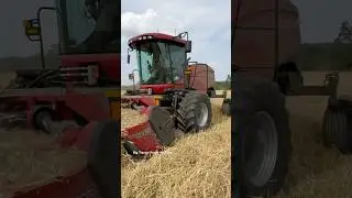 CASE IH WD2105 Windrowers #bigtractorpower