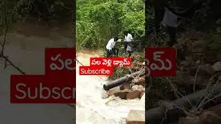 20 October 2022 Palavalli katte PAVAGADA చెరువు మరవ #rain #rainsounds #mutlanagendravlogs