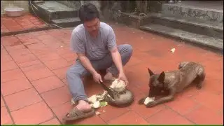 Cut open a coconut and drink the delicious water.