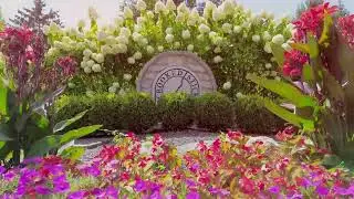 Crooked Stick Neighborhood Carmel, Indiana tour by Debra Wilson Realtor - The Wilson Team