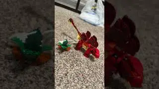 New fierce dinosaurs Lego set it&rsquo;s sad that they discontinue the mighty dinosaur&rsquo;s Lego though😭