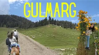 Gulmarg, Kashmir | Vlog ll