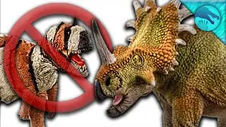 Unoriginal Schleich.... Oh and a Styracosaurus.