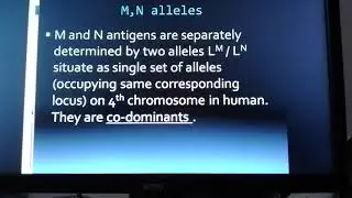 MN blood group, Co-dominance.