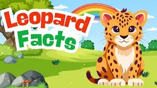 Powerful Leopard Facts for Kids