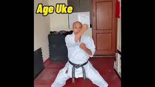 4 bloqueos b&aacute;sicos karate shotokan