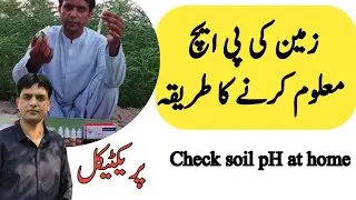 How to test soil pH at home | Soil Analysis at home | Practical | Dr. Jamil Shafi | Plant Clinics