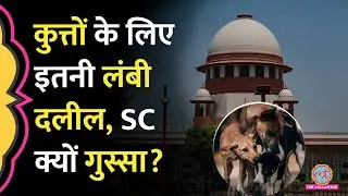 Supreme Court ने Stray Dogs Case की सुनवाई में अनाथ बच्चे, लंबी दलीलें, पब्लिक सेफ़्टी पर क्या कहा?