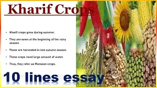 10 lines on Kharif Crops||10 lines essay on Kharif Crops
