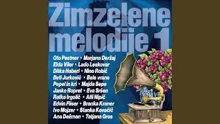 Zato sem noro te ljubila