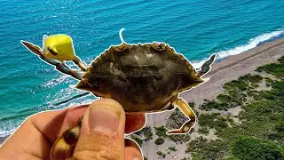 ЛОВЛЯ ОДНОЙ ИЗ САМЫХ ЦЕННЫХ РЫБ ФЛОРИДЫ! (МОРСКОЙ КЛЮК И РАЗРЕШЕНИЕ)