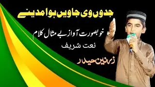 جدوں وی جاویں ہوا مدینے || Zarnain Haider || new naat