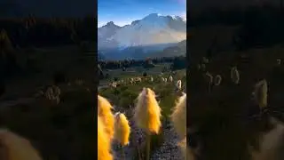 From @kpk #nature #world