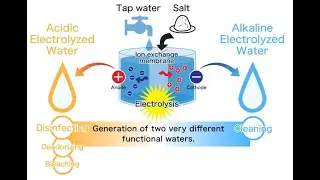 How to make disinfectant at home ?