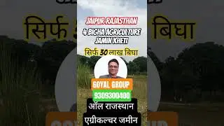 4 बीघा सिर्फ 30 लाख/बीघा एग्रीकल्चर 🌳🌾#shorts #farmland