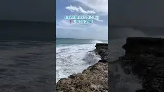 HIDDEN GEM IN FLORIDA - Blowing Rocks Preserve / Coral Cove