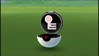 Ooo.. high cp hundo pokemon appear in wild