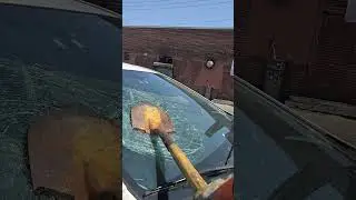 You Never Waste a Windshield - Neutral Drop