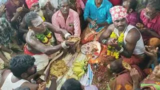 தண்ணாசி பூஜை தாமரை அரியநாச்சி கோயில் ஆலாங்குட்டை #சாமிஆட்டம் #karuppasamy #tamil annamar kovil 