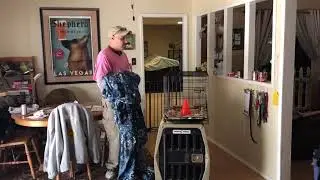 Crate Training, separation anxiety tips techniques || Las Vegas Dog Training