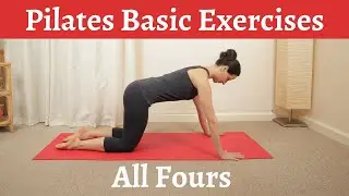 How to Do the Pilates All Fours Exercise Correctly | Pilates Basic Exercises