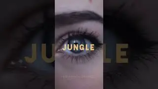 Fred Again - Jungle (Adriatique Remix) (Official Visualiser)