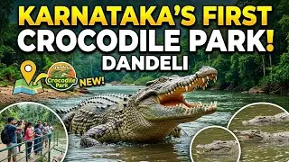karnataka's first crocodile park in dandeli | crocodilepark Dandeli | #crocodilepark