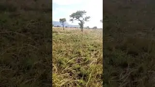 Untapped karamoja